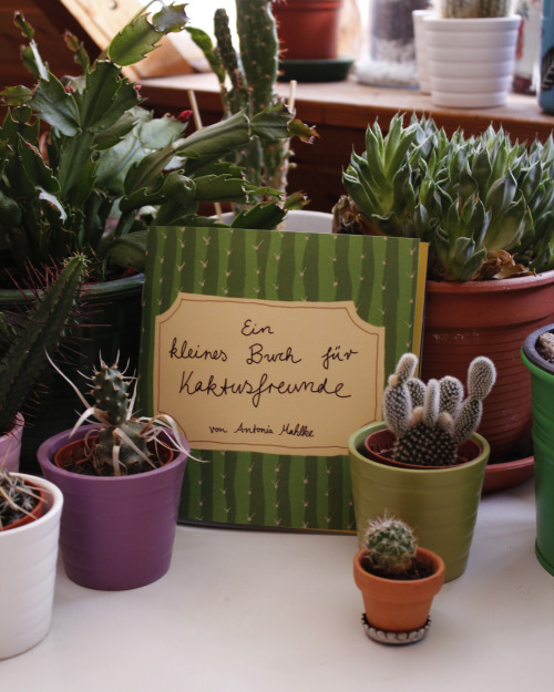  Back in May this year, I made a small zine about cacti, because I love them! Some people expressed 