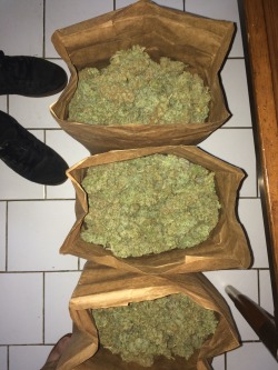 veraisastoner:  highlife506:Got weed? Not this much 😍