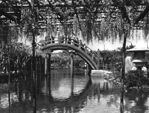 Bridge in Kameido Tenjin Shrine, Tokyo - View on the “drum bridge&quot; (famous for its rolling form