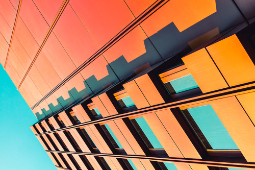 danielpetzold:  Mesmerizing Lines 