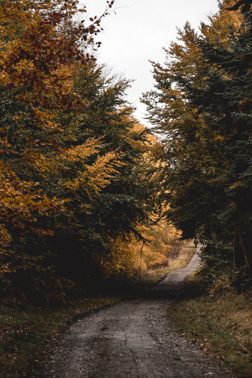 Autumn walk / October, DenmarkInstagram