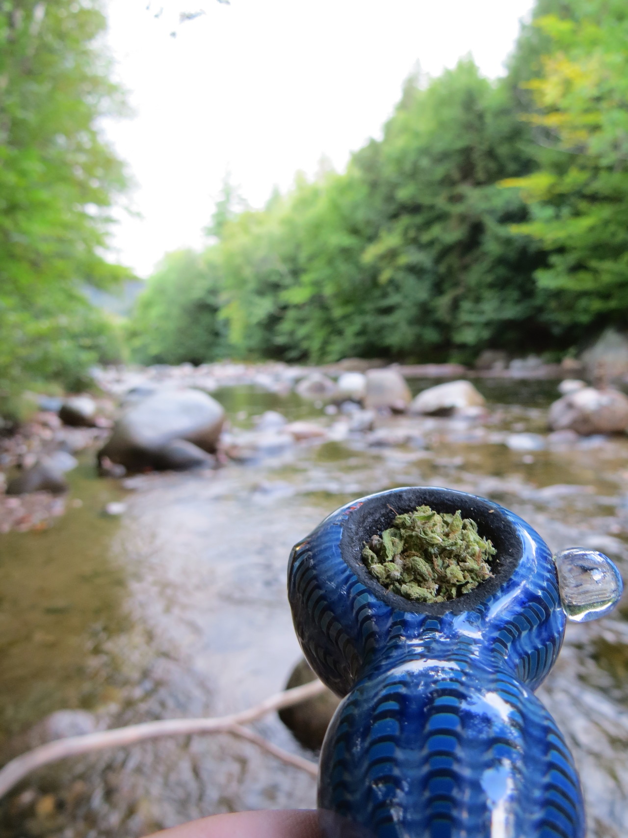 sparklybongwater:  be—blissful:     be—blissful:  this is so relaxing   