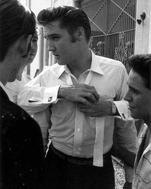 vivalaselvis:  What. I can’t even. Unf.
