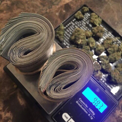 Ostentation Bitch