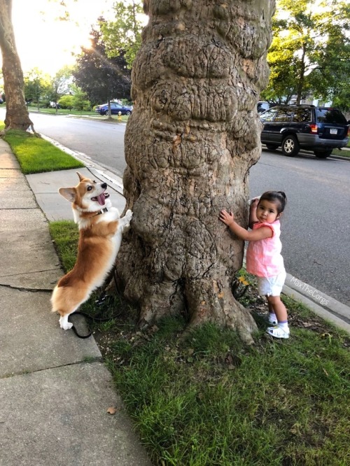 Tree huggers