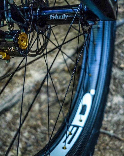 velocityusa: Did you know we offer complete fatbike wheels featuring our amazing new Velocity Fat Hu