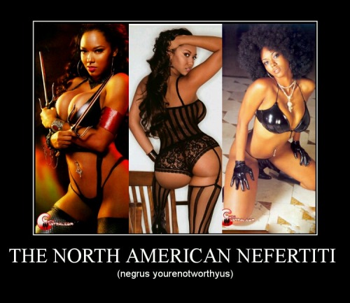 berthaslavegirlme: laird-white: Introducing the white masters guide to recognizing nigger breeds. Th