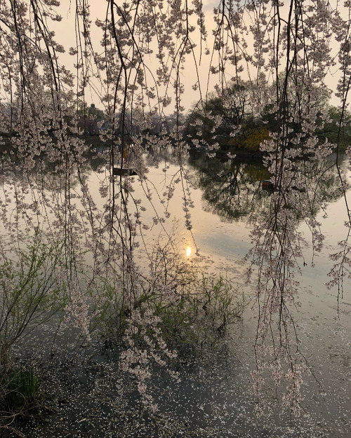 1ethereal:www.instagram.com/p/BhDlII8lQDy/