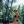 jibriljoestar:God