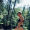 jibriljoestar:God