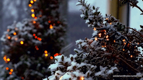 silvxerbells:❄️⛄️☕️ winter/christmas all year