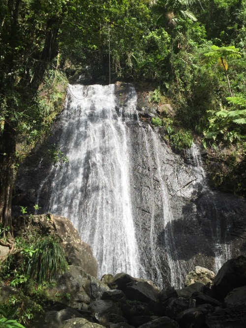 heartlesslut:  I went hiking earlier in El Yunque and it was so pretty