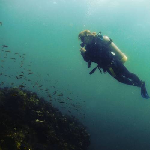 #onewiththefishies #puertovallarta