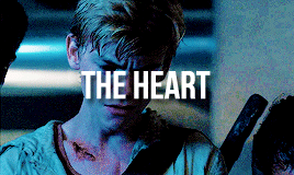 zaslavskianton:The maze runner: character tropes