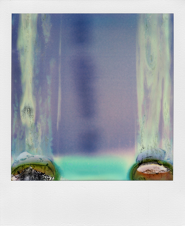 nevver:  Polaroids, William Miller