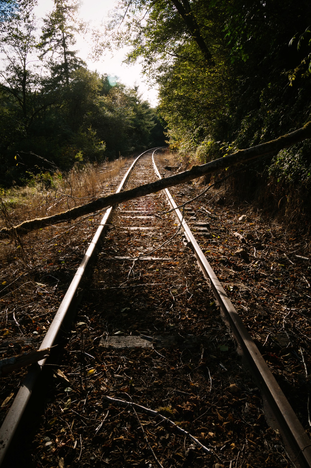 kovthephotographer:  Ghost Railways of Oregon 