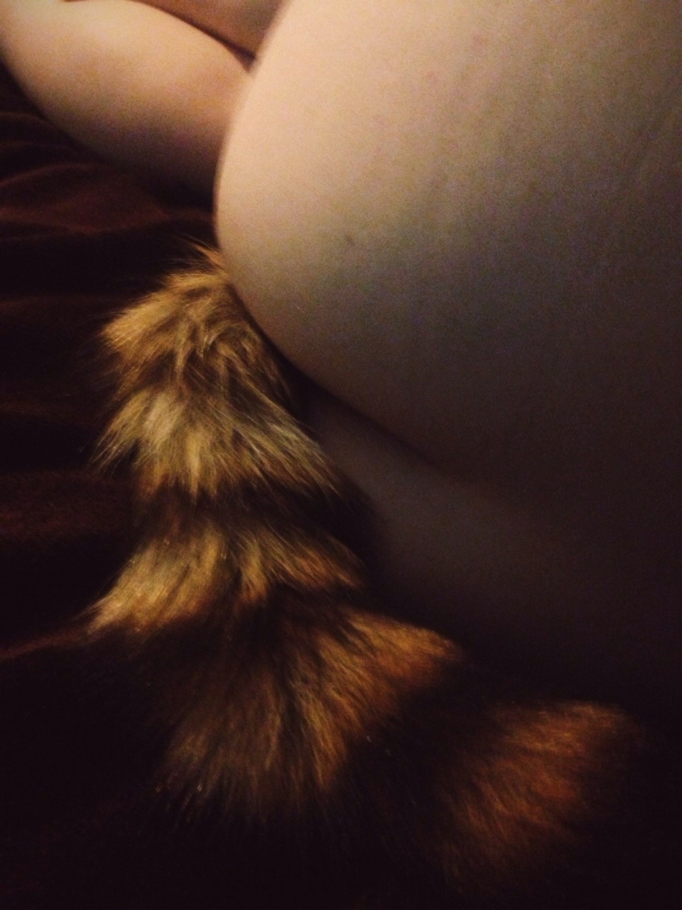 subtlesteps:  My tail arrived and it’s adorable. 
