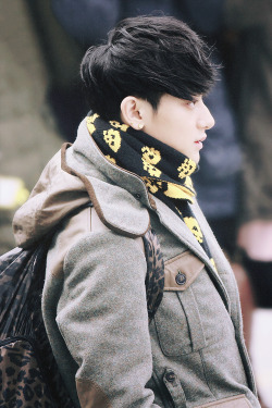   29/100 pictures of tao  