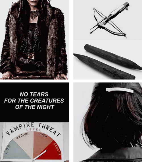 lewistan:character aesthetics + pocthe vampire and the vampire hunter