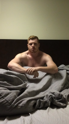 gingersmakethemlinger:  gingersmakethemlinger:  Dire need of a cuddle buddy tonight  Still looking