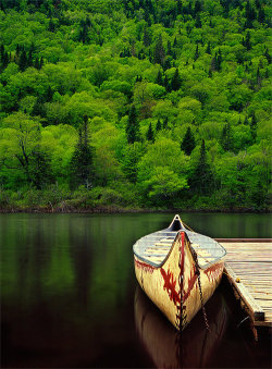 bluepueblo:  Summer Lake, Maine photo via