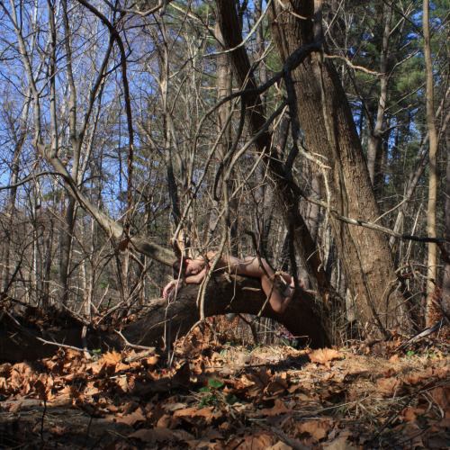 jacsfishburne: Untitled (Cam from a Distance | November 17, 2012 | Diptych) Model: Cam Damage f