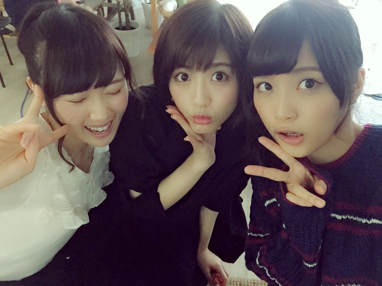Nogifans