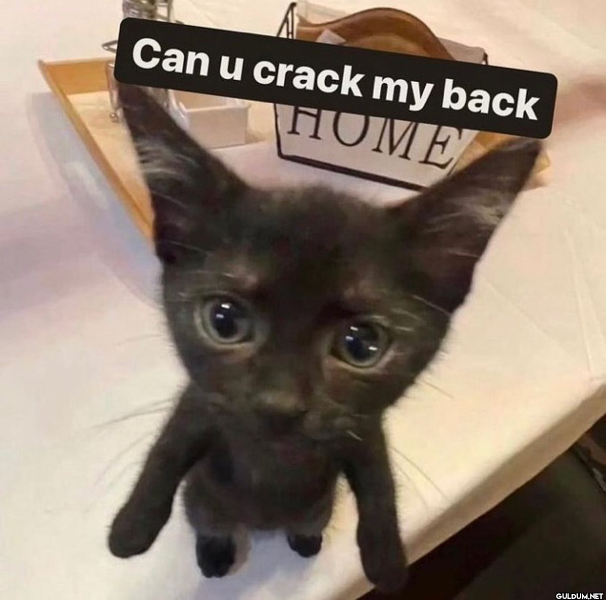 Can u crack my back HOME   Kaynak