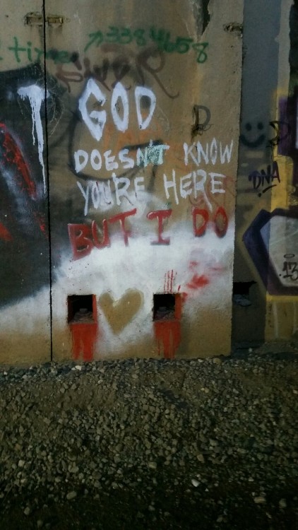 spacekingbobby: spooktasticfox: Saw these when hiking through abandoned train tunnels. If this isn&r