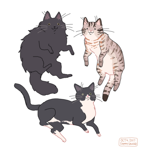 Kitty Art Tumblr Kitty Art Tumblr