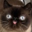 divineblep