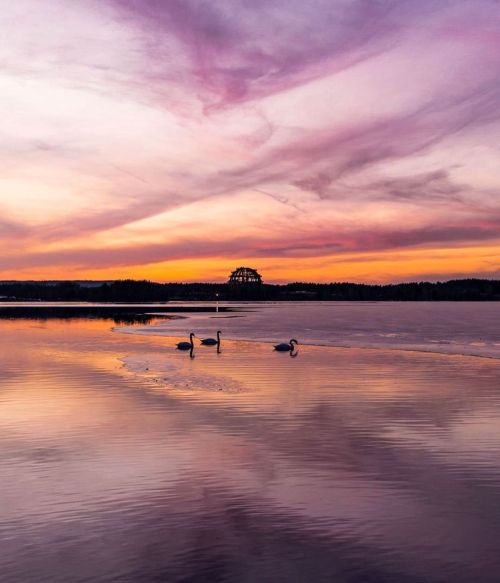 Ein fabelhafter Sonnenuntergang am Steinberger See in der Oberpfalz © @ercegvinko#bayernliebe #lak