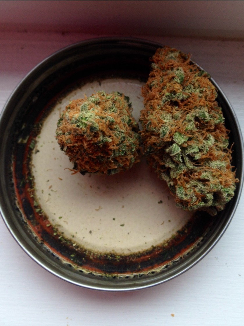 ilikepinkbitch:  Arborside: silver pearl Heavy indica 