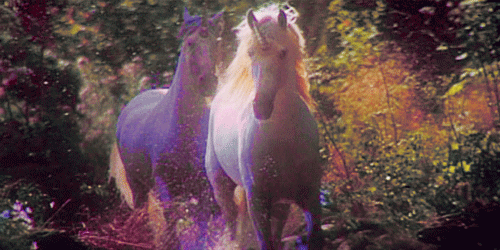 No big deal just an animated GIF of a unicorn riding a rainbow