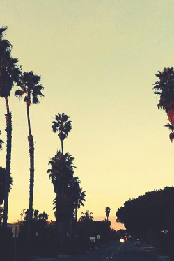 infamousgod:    Dusk in Cali by Aaron Browning  