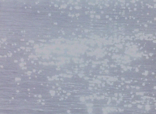 florencepugh:Travel Songs (1967 - 1981), dir. Jonas Mekas.