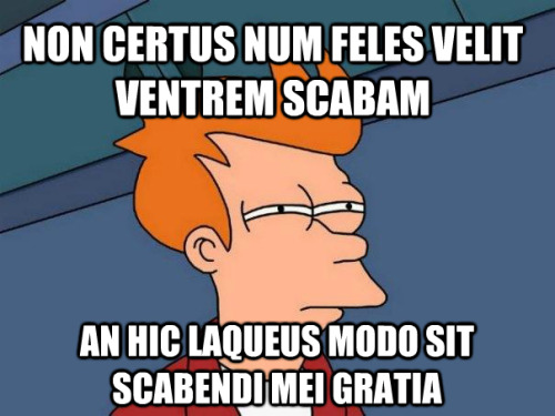 Non certus num feles velit ventrem scabamAn hic laqueus modo sit scabendi mei gratiaNot sure if cat 