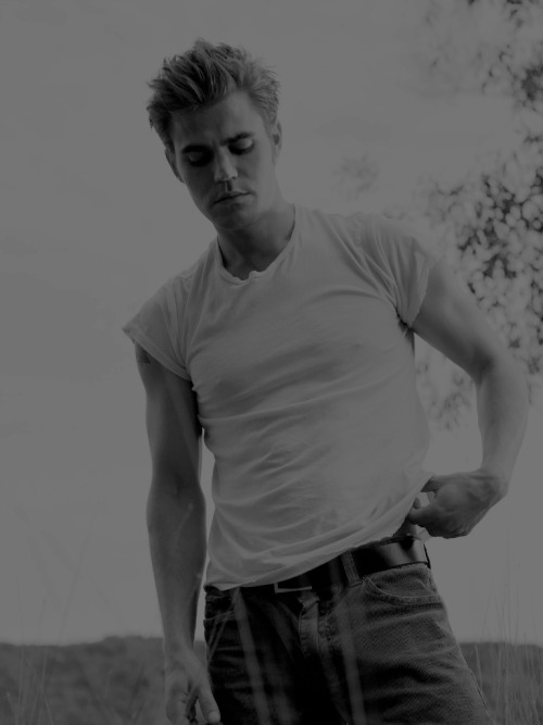 Paul Wesley - Page 2 Tumblr_nwx53tnOo81rwpsxvo1_500