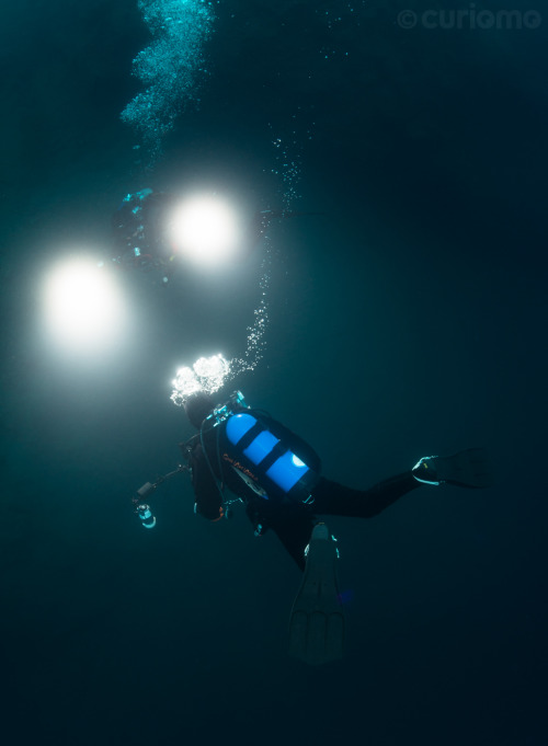 The only way to light up a scene in deep water is to bring a lot of your own light - photo taken in 