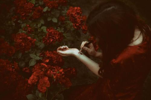 Econita aka Eliana Atra (Polish, b. Konin, Poland) - She Paints the Roses Red, 2017, Photography