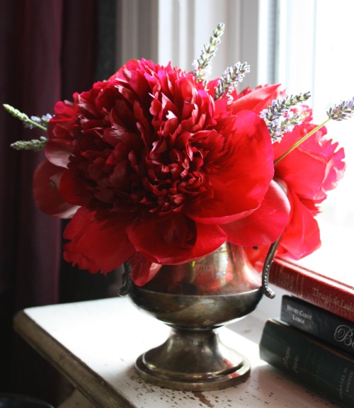 Peony Season is Arriving! Peonies are gorgeous full flowers that come in a variety of colors. The pe