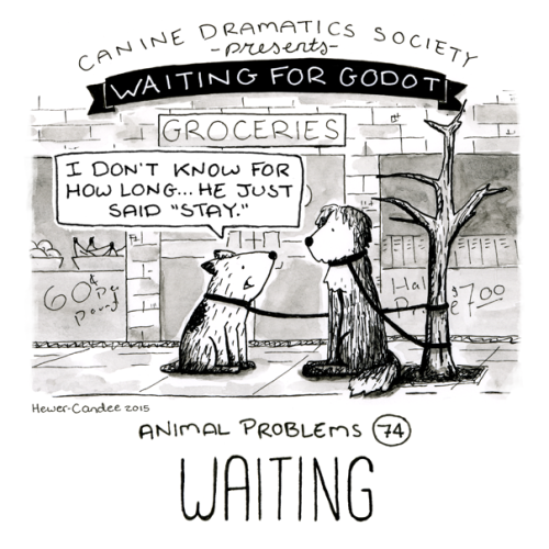 animalproblems: Problem 74: Waiting.