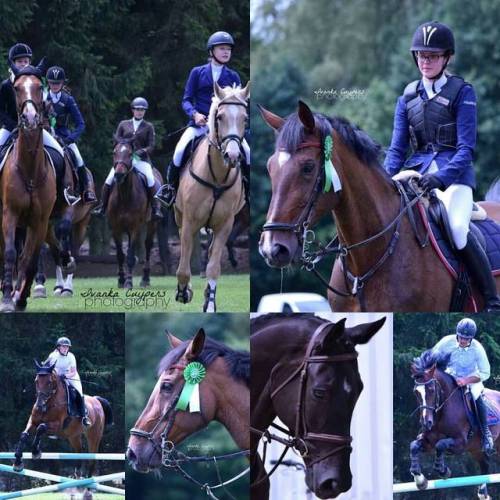 KR Jumping Bosscherhof #jumping #photography #collage #winner #horse #horsebackriding #equestrianlif