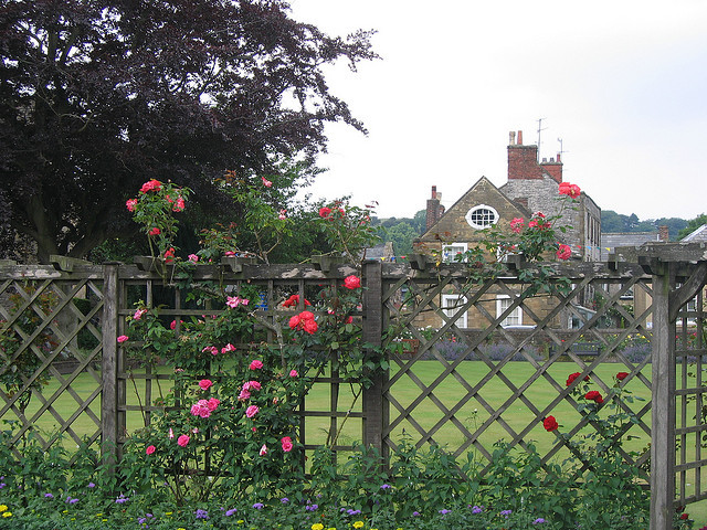 englishsnow:   UGArdener 
