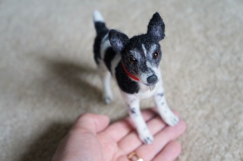 janetsneedlefelting:  A Rat Terrier I felted earlier. Wool, wires, plastic eyes and ribbon collar.