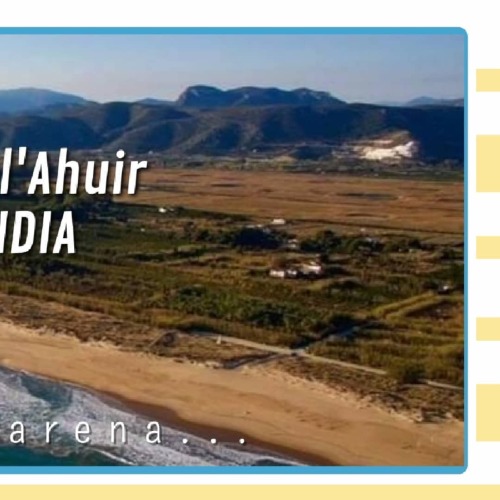 ️ Con sus más de 2️⃣ Km de playa virgen, la Playa virgen de l'Ahuir de #Gandia es únic