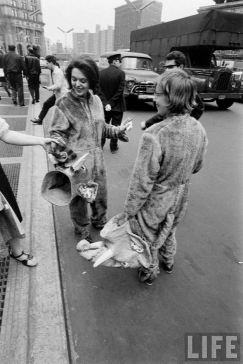 Elephant costumes at a sales tax protest(T. Moore. 1963)