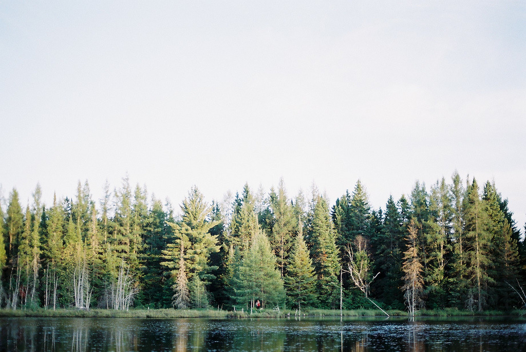 turbinis:  (by ChadSiddall)
