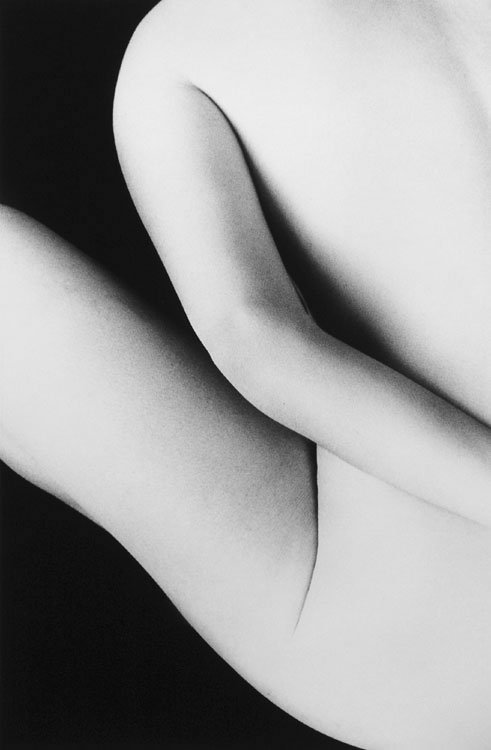 Porn avivajazz:  Ralph Gibson. White Nude (from photos