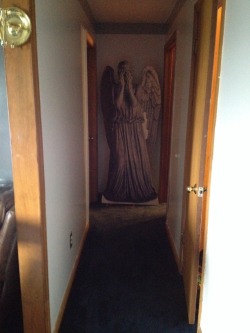 earthtomeowllory:My mom got my sister a cardboard cut out of a weeping angel for Christmas. We don’t really have any other place to put it except for at the end of a hallway. Every time I look down this fucking hallway I have a heart attack.